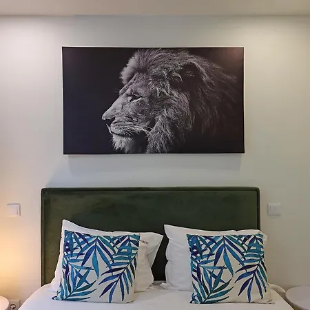 Apartment Flh Santa Catarina Simplistic Studio *
